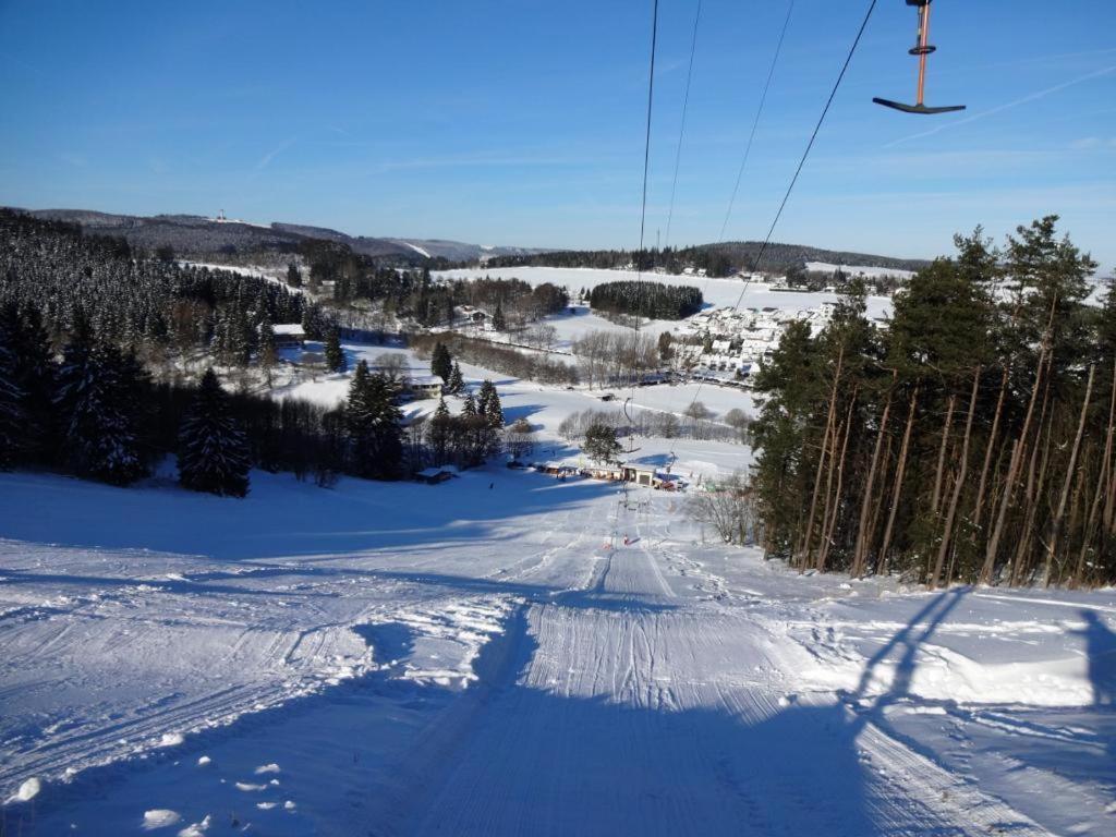 Appartement Happynest*** Mit Hallenbad Willingen  Bagian luar foto