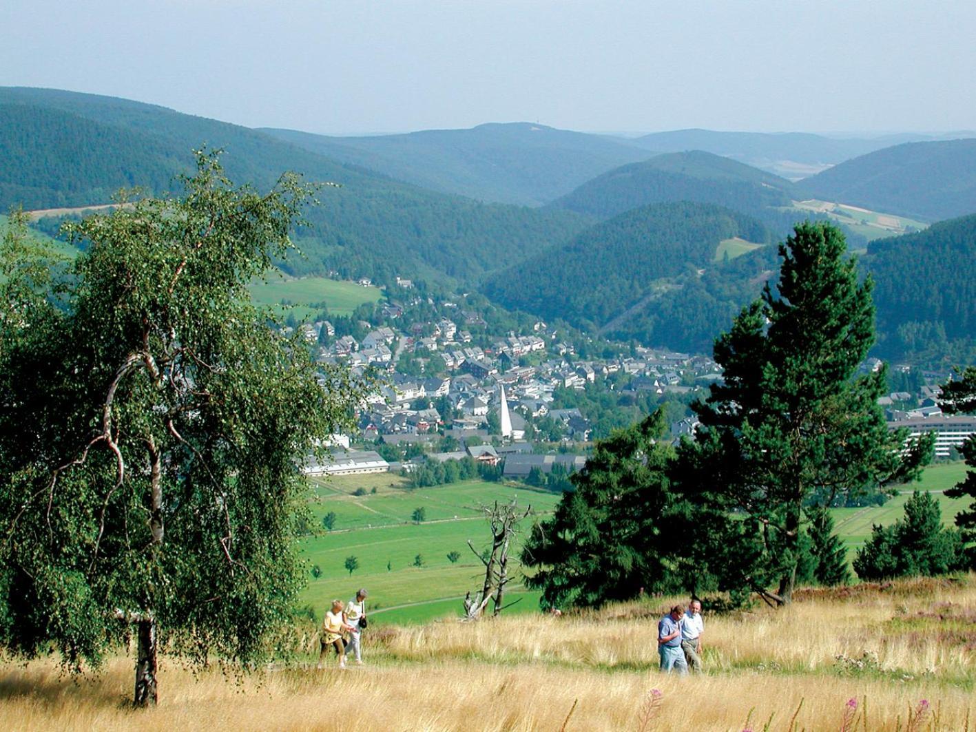 Appartement Happynest*** Mit Hallenbad Willingen  Bagian luar foto