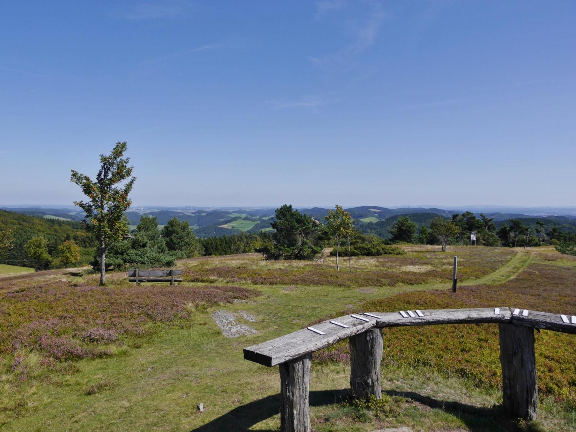 Appartement Happynest*** Mit Hallenbad Willingen  Bagian luar foto