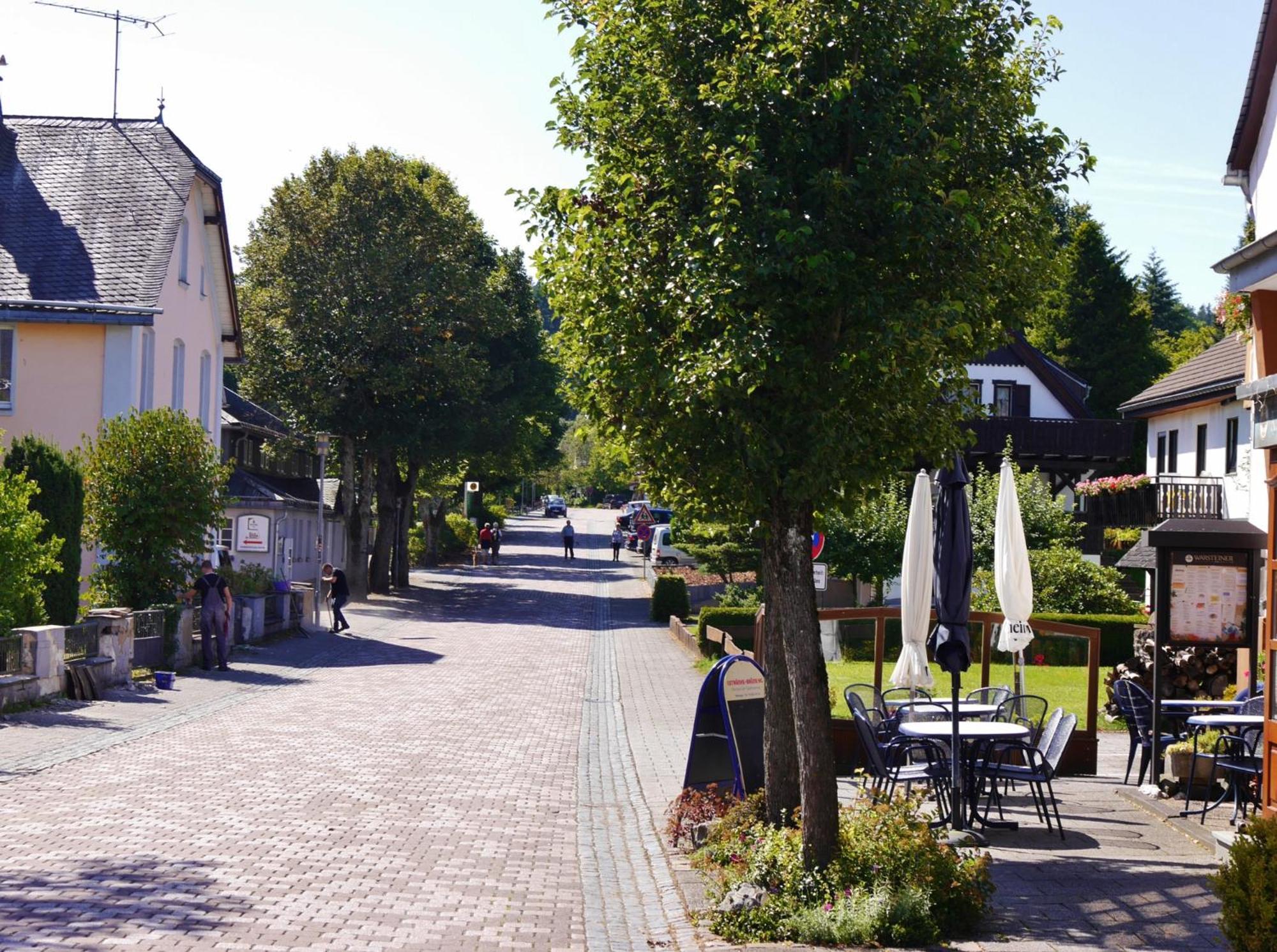 Appartement Happynest*** Mit Hallenbad Willingen  Bagian luar foto