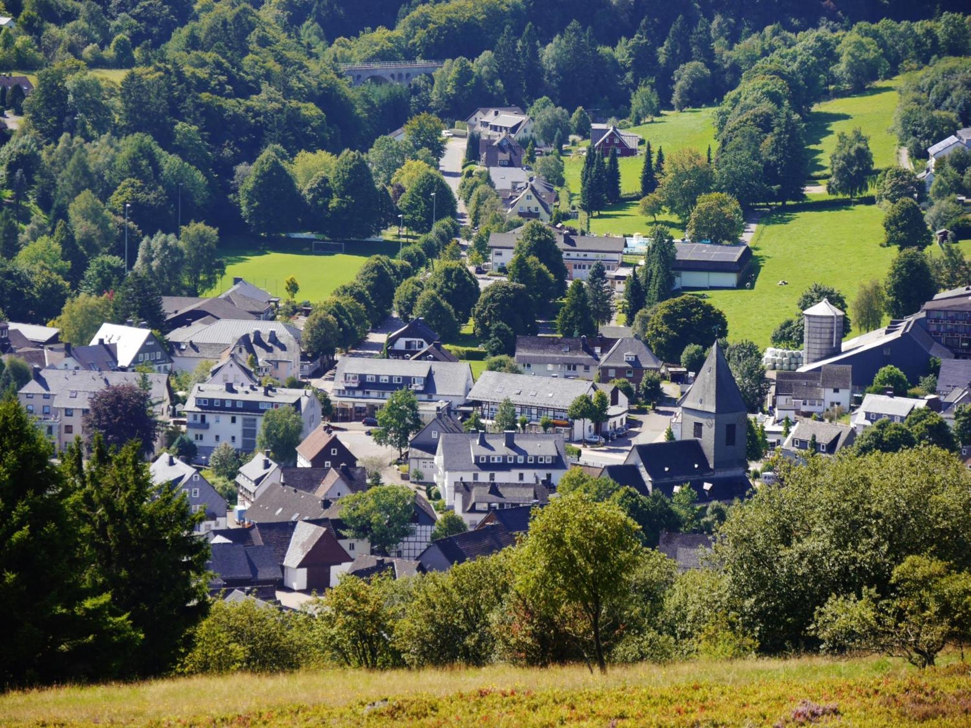 Appartement Happynest*** Mit Hallenbad Willingen  Bagian luar foto